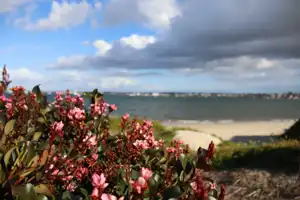 2025-07-21 Cpt. Cook Brdg. Walk - IMG_3845_compressed_q80.webp